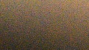 Se trataba de una serpiente rata.