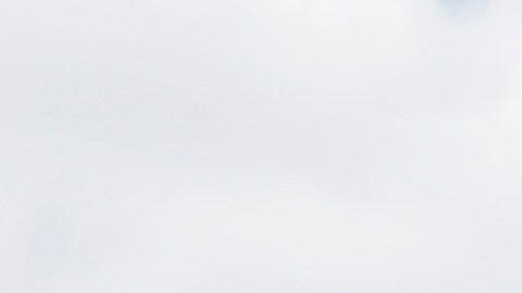 Harbor disfruta de su etapa colegial en el Archbishop Carroll High School de Washington.