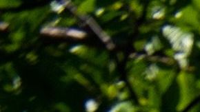 Corte Suprema de Estados Unidos