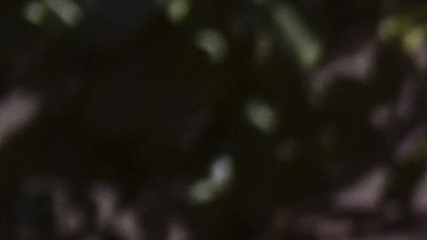 El futbolista dejó el encuentro para atender su trabajo como delivery y al cabo de unos minutos regresó a la acción.