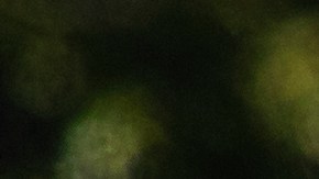 Policia San Jose California