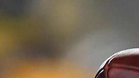 Dwayne Haskins falleció el pasado 9 de abril durante un accidente de tránsito.