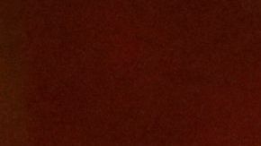 Nadia Ferreira es la nueva novia de Marc Anthony