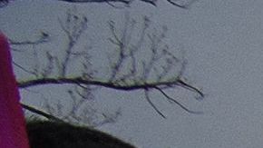 Reforma migratoria Washington