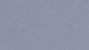 Según Rusia, Ucrania compró 50 drones para rociar químicos.