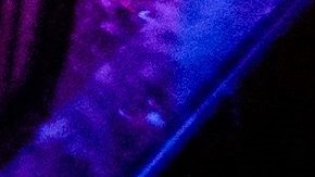 El tiroteo ocurrió la madrugada de este domingo.