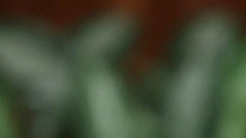Las sanciones económicas de Occidente impactan a la familia de Putin.