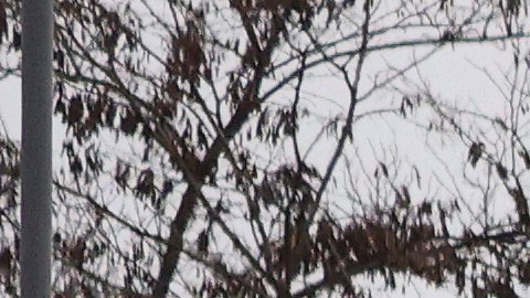Un proyectil ruso golpeó a una ambulancia en Mykolaiv.
