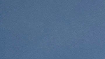 Solicitantes de asilo titulo 42