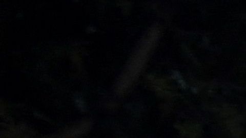 Cinco personas asesinadas en nueva masacre en Cartago, al oeste de Colombia.