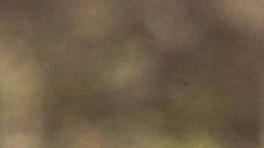 Imágenes desgarradoras fueron captadas en Bucha.