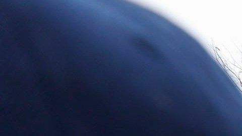 Protesta muerte Patrick Lyoya en Michigan