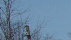 Bucha masacre cuerpos ucrania