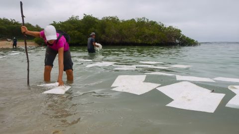 ECUADOR-ENVIRONMENT-ACCIDENT-GALAPAGOS