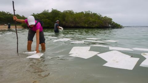 ECUADOR-ENVIRONMENT-ACCIDENT-GALAPAGOS