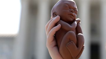 Este jueves hallaron cinco fetos humanos en una casa de la capital estadounidense.