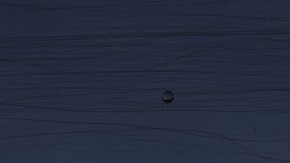 La discriminación contra un portador de 'green card' ocurrió en una oficina de UPS en Florida.