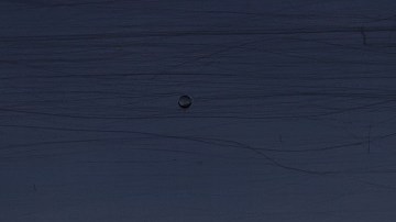 La discriminación contra un portador de 'green card' ocurrió en una oficina de UPS en Florida.