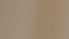 Así lució la finca en Palm Beach donde se casaron Brooklyn Beckham y Nicola Peltz