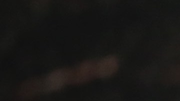 Seth Rogen es un actor y comediante canadiense de 40 años