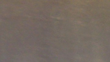 Aves de corral gripe aviar