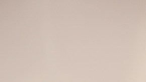 Venus Williams tiene exigencias millonarias