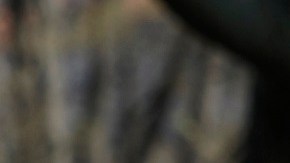 Biden califica la masacre de civiles en Bucha como "crimen de guerra" de Rusia
