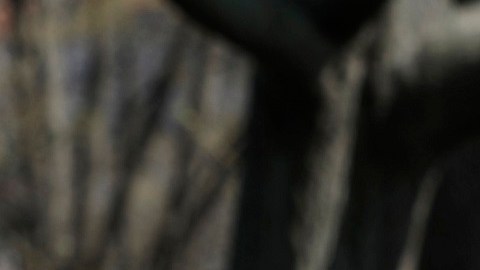 Biden califica la masacre de civiles en Bucha como "crimen de guerra" de Rusia