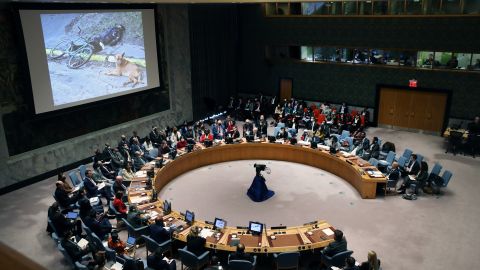 El Consejo de Seguridad de la ONU mostró el video sobre matanza de civiles en Ucrania.