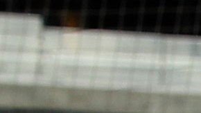 DETROIT, MICHIGAN - APRIL 23: Miguel Cabrera #24 of the Detroit Tigers looks on after a 13-0 win during Game One of a doubleheader against the Colorado Rockies at Comerica Park on April 23, 2022 in Detroit, Michigan. Cabrera hit his 3000th and 3001st hits of his career during the game. (Photo by Katelyn Mulcahy/Getty Images)