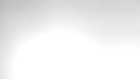 Floyd Mayweather Jr.