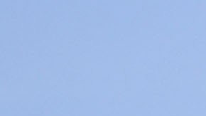 Miguel Cabrera y Max Scherzer