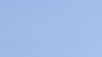 Miguel Cabrera y Max Scherzer