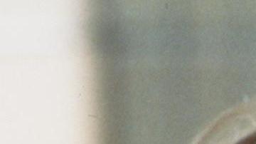 Haley Joel Osment honra a su coprotagonista de "The Sixth Sense", Bruce Willis, después de su retiro.