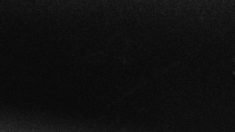 La socialité Lee Radziwill falleció el 13 de febrero de 2019