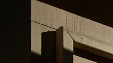 Senior State Department Management Officials Forced To Resign