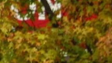 Exxon estacion gasolina