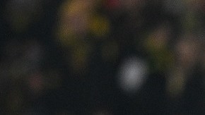 VfB Stuttgart v Borussia Dortmund - Bundesliga