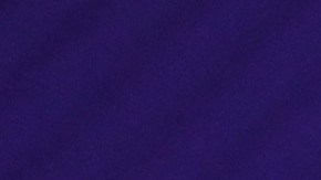 Entrenador de Estados Unidos quedó satisfecho con sus rivales del Mundial Qatar 2022