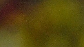 Colombia v Bolivia - FIFA World Cup Qatar 2022 Qualifier