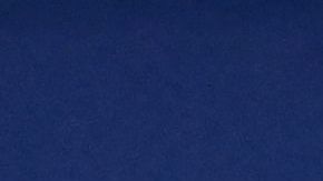 Presidente del Barcelona rechazó la presencia masiva de aficionado del Frankfurt en el Camp Nou