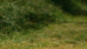 Oscar Piastri Press Conference