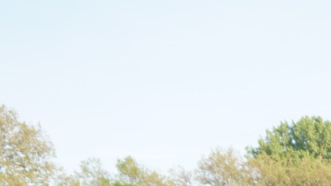 Parque de Flushing se convertirá en masivo "mercado nocturno de Queens"