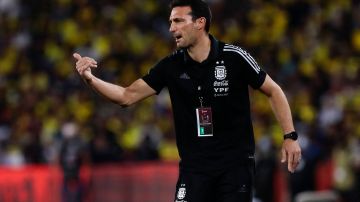 Entrenador de Argentina considera que sus rivales del Mundial son todos difíciles