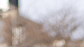 Street Style - Day 2 - New York Fashion Week