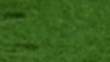 Selección de Ucrania jugará contra el Borussia Monchengladbach