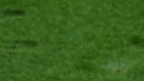 Selección de Ucrania jugará contra el Borussia Monchengladbach