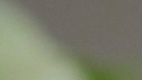 Donald Trump Welcomes Mexican President Andres Manuel Lopez Obrador To The White House