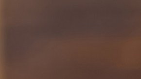 Vinagre de sidra de manzana