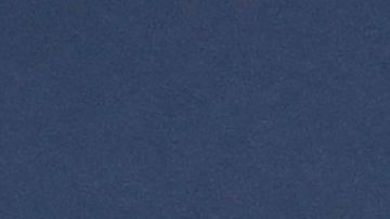 Weston McKennie no estará con la Juventus la próxima temporada